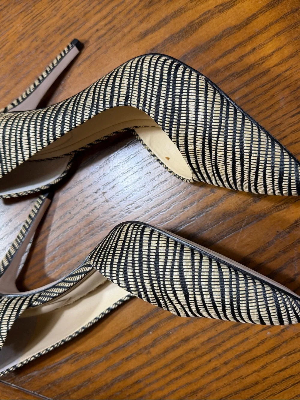 Striped Black and Nude Pointed Toe Stiletto Heels - Women